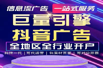 竞价广告策略案例分析